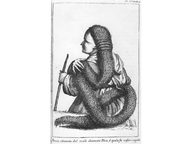Картина «Польский колтун» (Felicità Sartori, XVIII в.)
