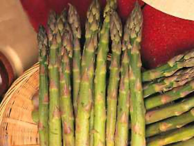 Спаржа лекарственная (Asparagus officinalis)
