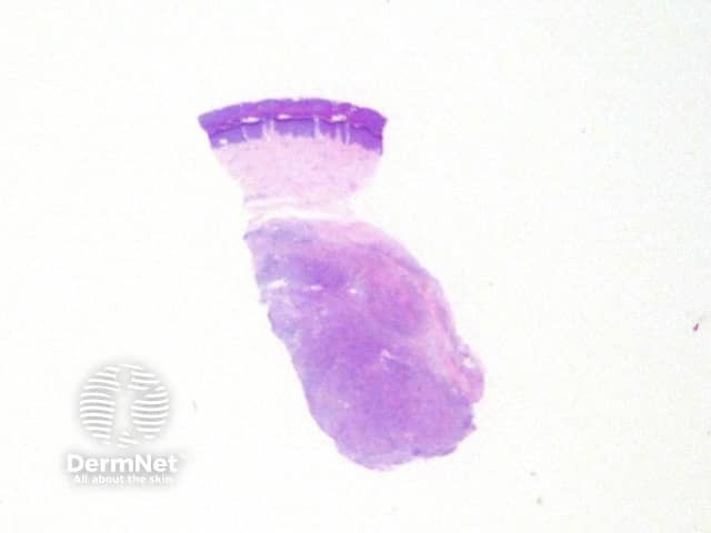 Рисунок 1